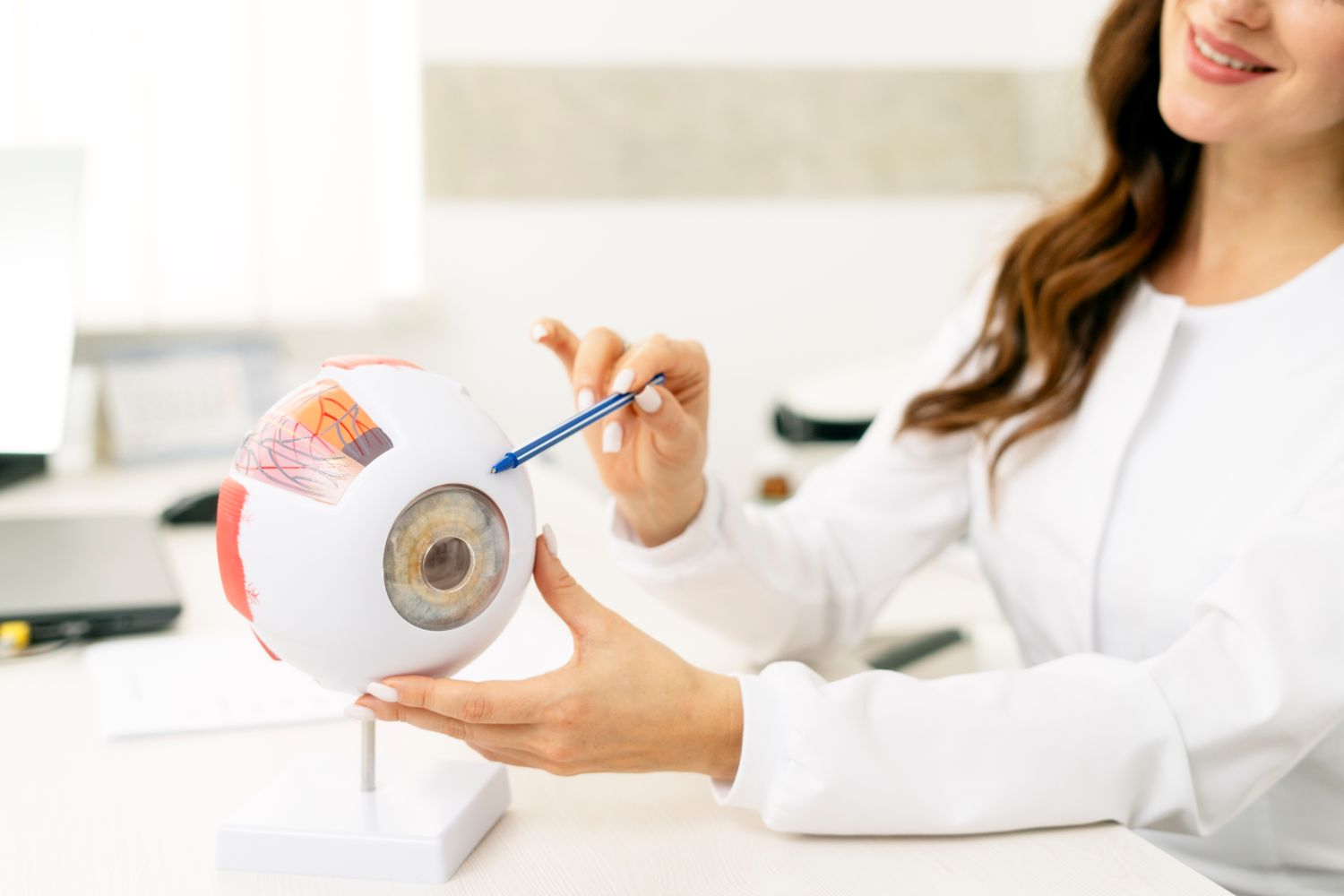 woman holding model eye
